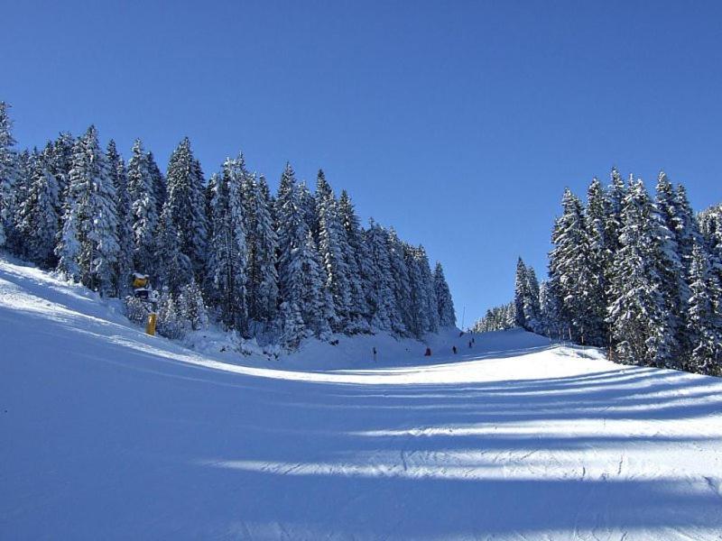 L&N Apartmani Kopaonik-Milmari Resort Eksteriør bilde