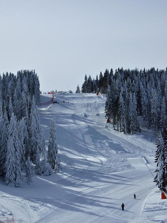 L&N Apartmani Kopaonik-Milmari Resort Eksteriør bilde