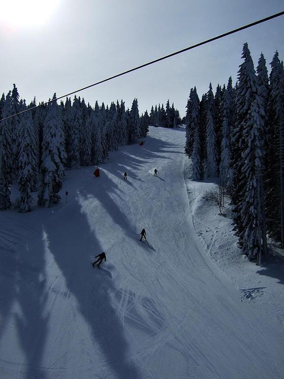 L&N Apartmani Kopaonik-Milmari Resort Eksteriør bilde